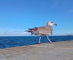 Kołobrzeg po sezonie
