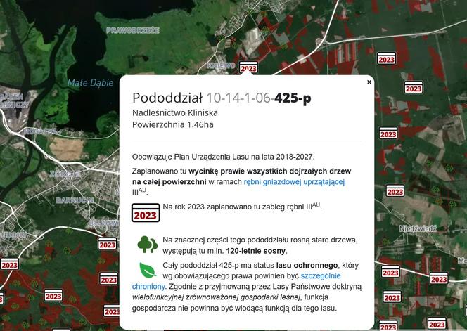 Wycinka lasów w Szczecinie i regionie 