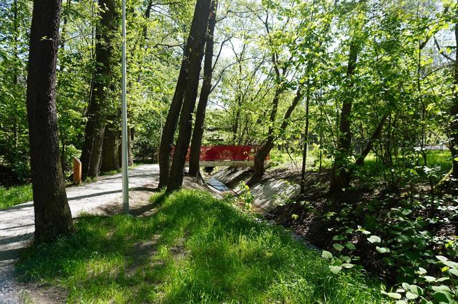 Tak wygląda park w dolinie Ślepiotki w Katowicach