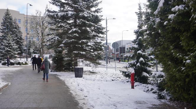 Atak zimy w Olsztynie. Leży aż 15 cm śniegu [ZDJĘCIA]