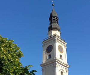 Takie projekty zgłosiliście 