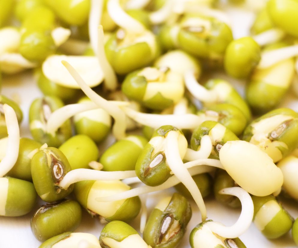 Odchudza, zmniejsza boczki, zbija cholesterol. Złota fasola to zamiennik mięsa