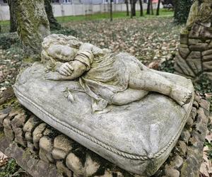 Stary Cmentarz w Rzeszowie. Niezwykłe miejsce 