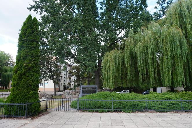 Plac Mordechaja Tenenbauma. To część Skweru przy Żabiej w Białymstoku