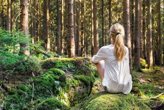 Sześć wielkich zalet drzew