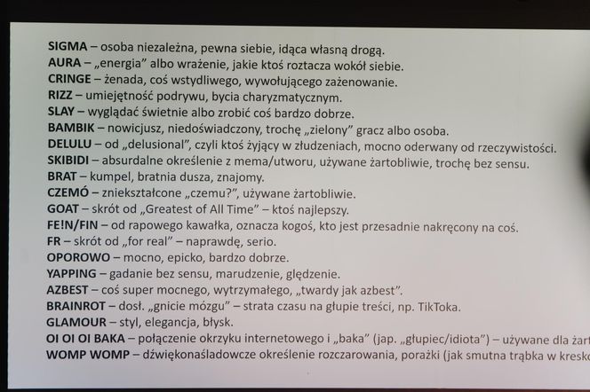 Inauguracja kampanii Widzę Rozmawiam Reaguję
