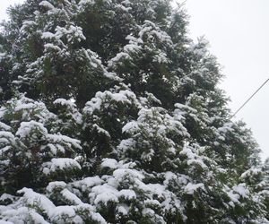 Zima w Świętokrzyskiem. Skarżysko-Kamienna (22.11.2024)