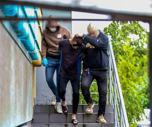 Rodzinny horror w dawnym tartaku