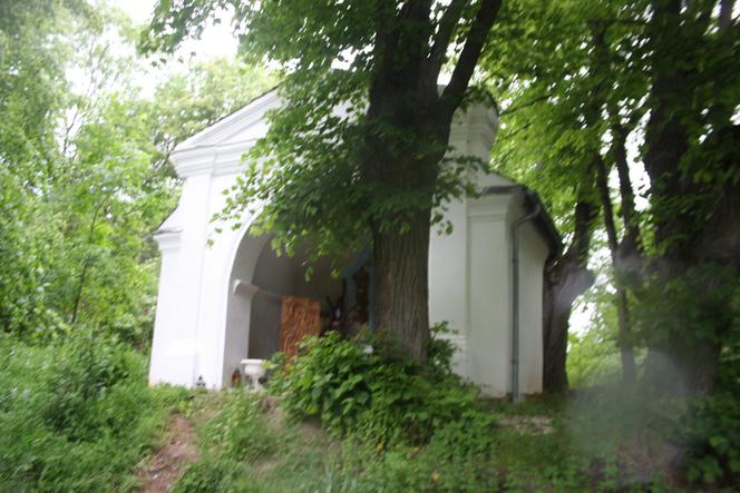 Polskie wojsko wkroczyło do Czech