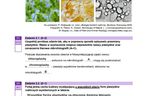 Matura biologia 2025 - odpowiedzi