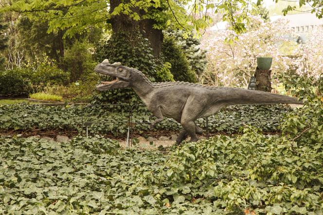 Dinozaury opanowały wrocławski ogród botaniczny