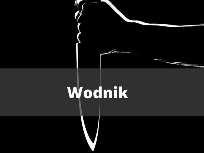 11. Wodnik