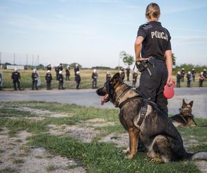  Zarobki policjantów w 2024 roku 