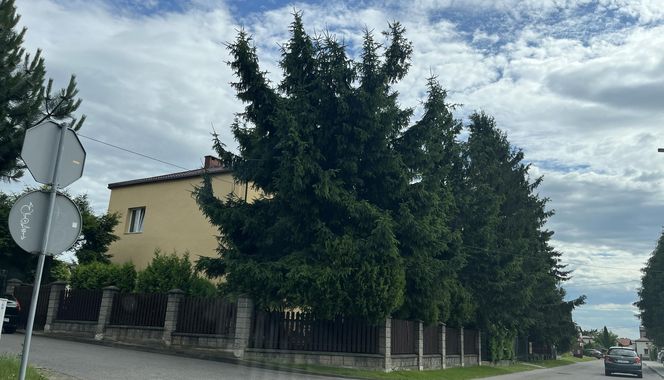 83-letni Jerzy S. nie wytrzymał. Teraz grozi mu dożywocie. Rodzinny dramat w Zamościu