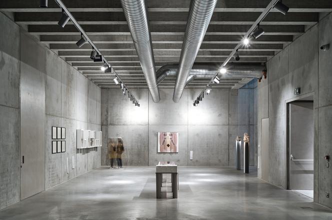 galeria Plato 51