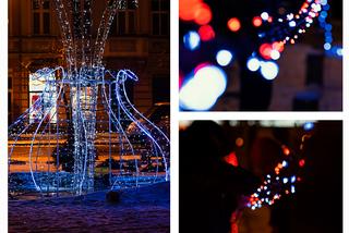 Iluminacje świąteczne w wielkopolskich miastach