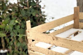 Nowe oblicze Parku Bednarskiego. Koniec remontu coraz bliżej