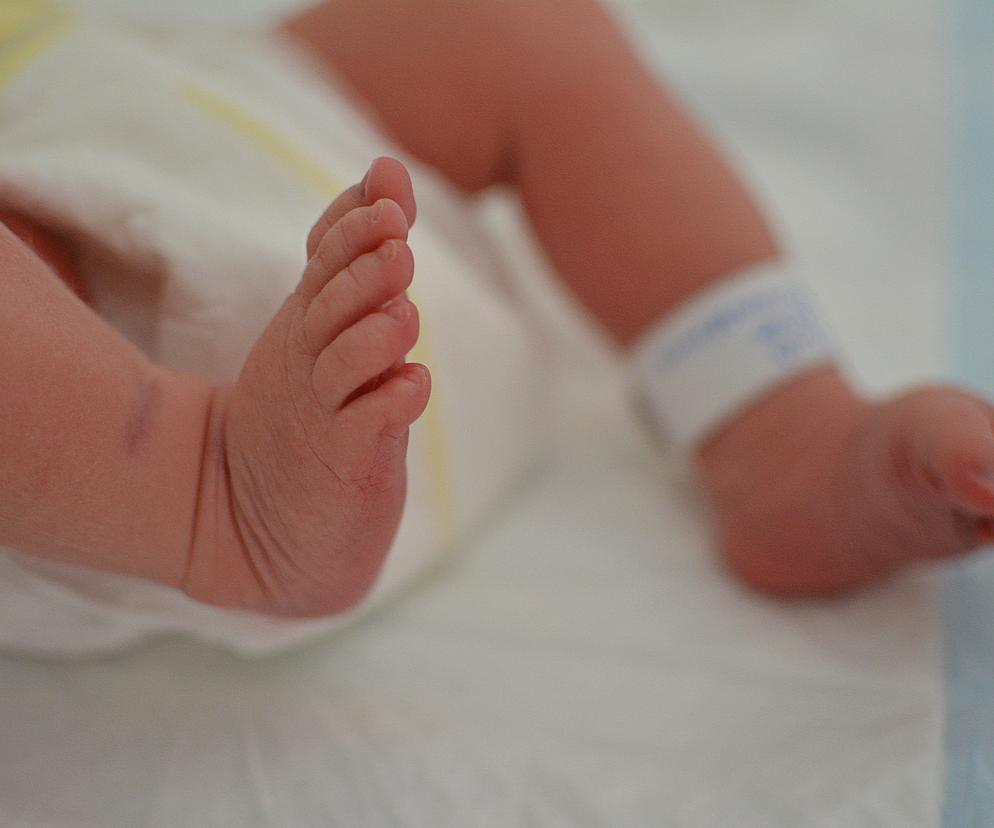 Noworodek w szpitalu 