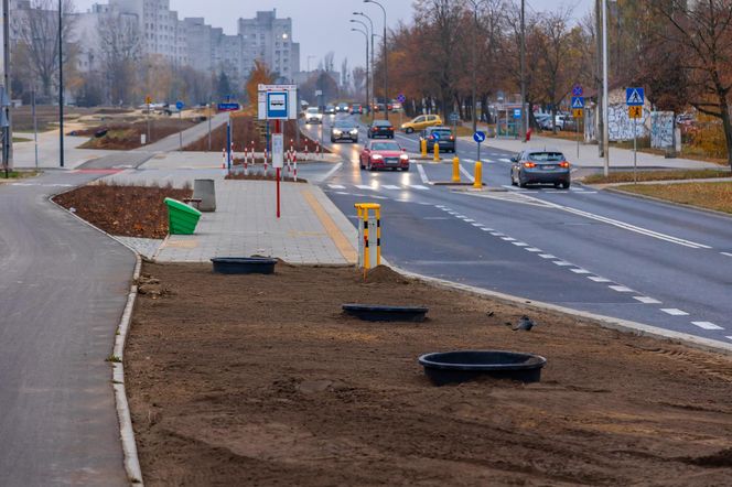 Pierwsze drzewa w parku nad obwodnicą na Ursynowie