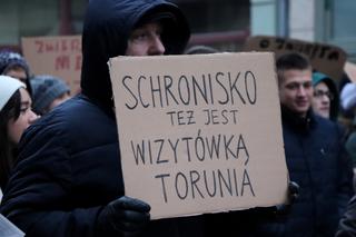 Oni mówią głosem zwierząt! Tak wygladał marsz w obronie zwierząt z Toruńskiego Schroniska [GALERIA, AUDIO]