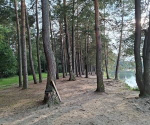 Spokojne wrześniowe popołudnie nad Jeziorem Bialskim w Białce