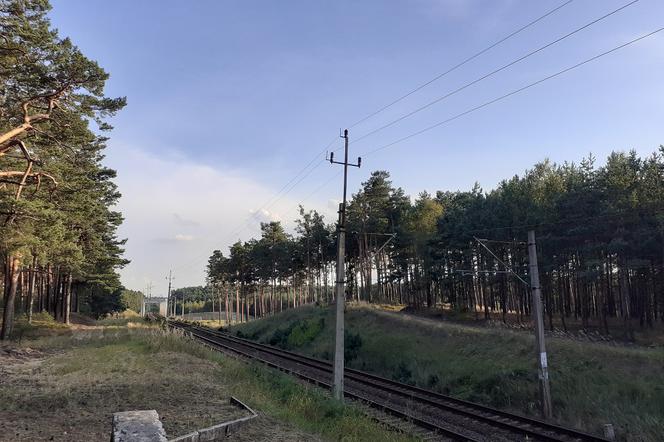 Brzoza Toruńska 40 lat po katastrofie kolejowej
