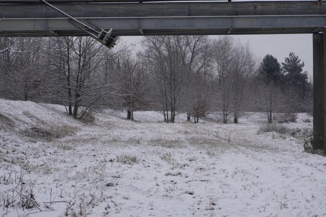 Zima w Świętokrzyskiem. Skarżysko-Kamienna (22.11.2024)