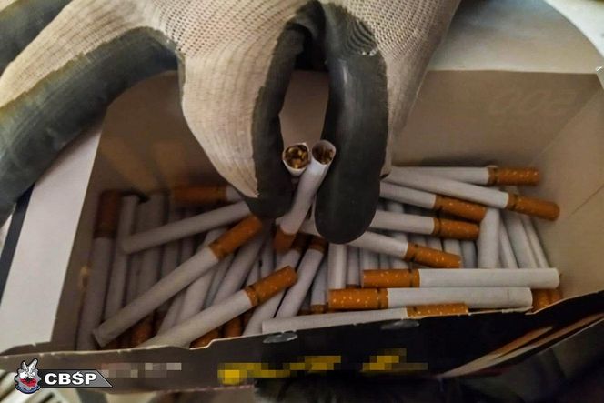 CBSP rozbiło gang producentów papierosów.