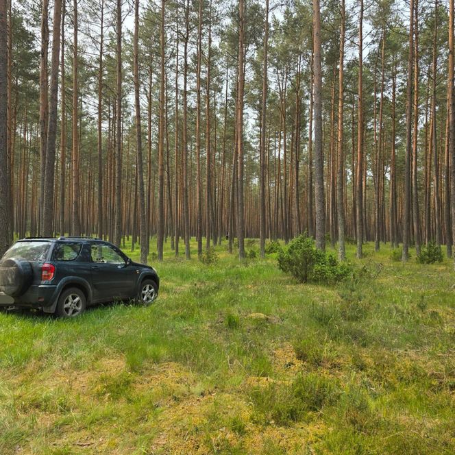 Makabryczne odkrycie w lesie. Najpierw samochód, potem ciało!