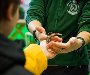 Rodzinny weekend pełen atrakcji turystyczno-podróżniczych! Przed nami Caravans Salon, największe w Polsce targi caravaningowe