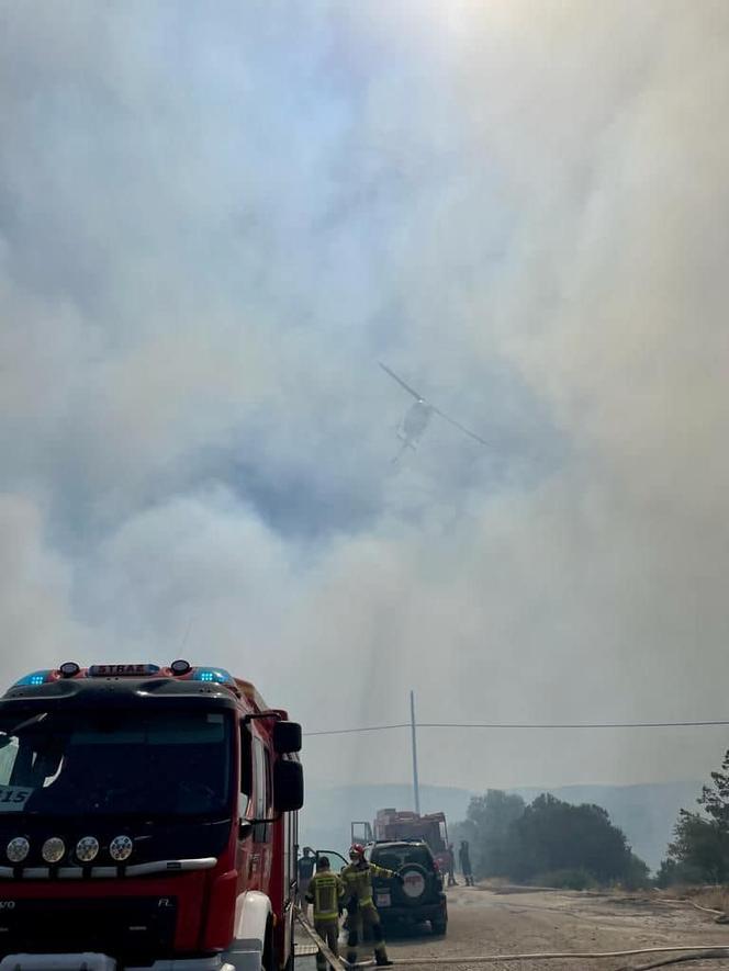 Polscy strażacy gaszą pożary w Grecji