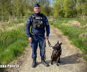 Policyjne psy w Lubuskiem - PERI (Międzyrzecz)