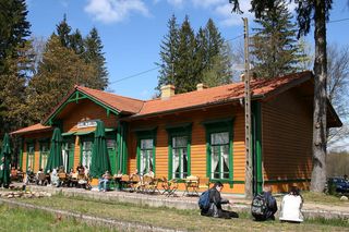 Białowieża - małe Zakopane w woj. podlaskim