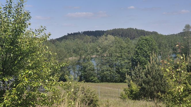 To jezioro w Olsztynie ma niezwykle czystą wodę. Jest kilka dzikich plaż, które świecą pustkami