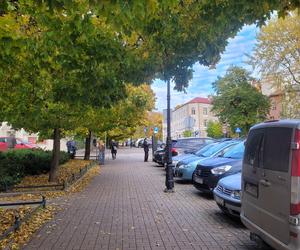 Kolorowe drzewa i klimatyczne kamienice. Ta ulica w Olsztynie zachwyca jesienią