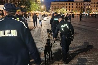 Krakowscy policjanci wyszli nocą na miasto i posypały się mandaty. Wkrótce zrobią to ponownie