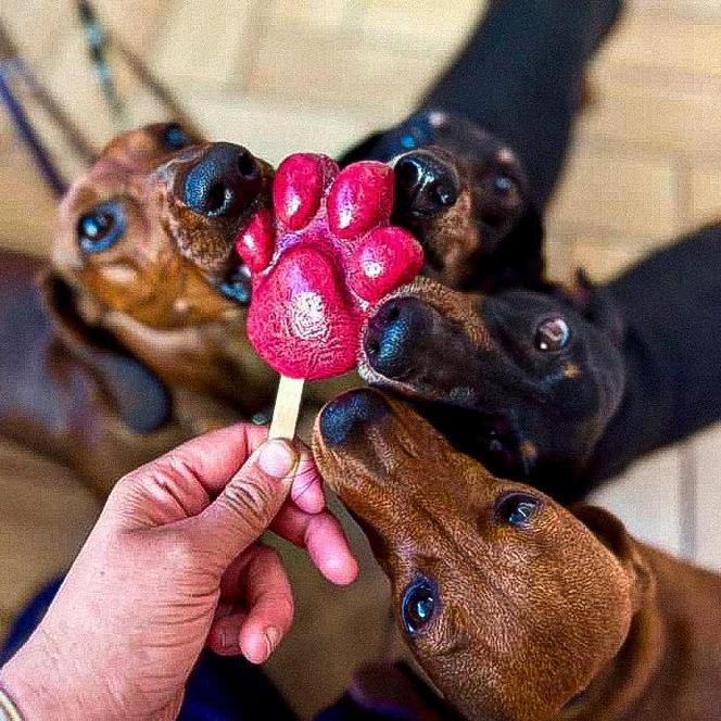 "Ice dogi" w sprzedaży. Można kupić je w Tarnowskich Górach