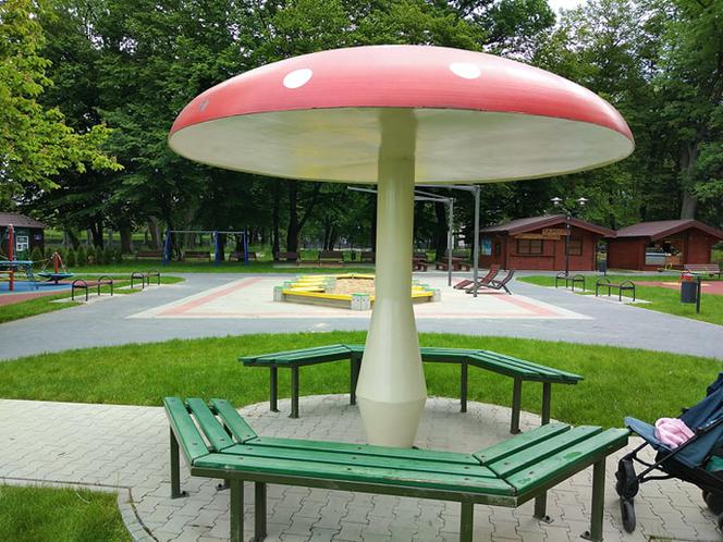 Plac zabaw w Parku Strzeleckim w Tarnowie