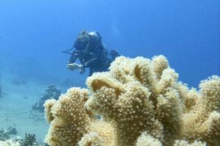 Gwiazda Żon Miami igrała ze śmiercią w Egipcie