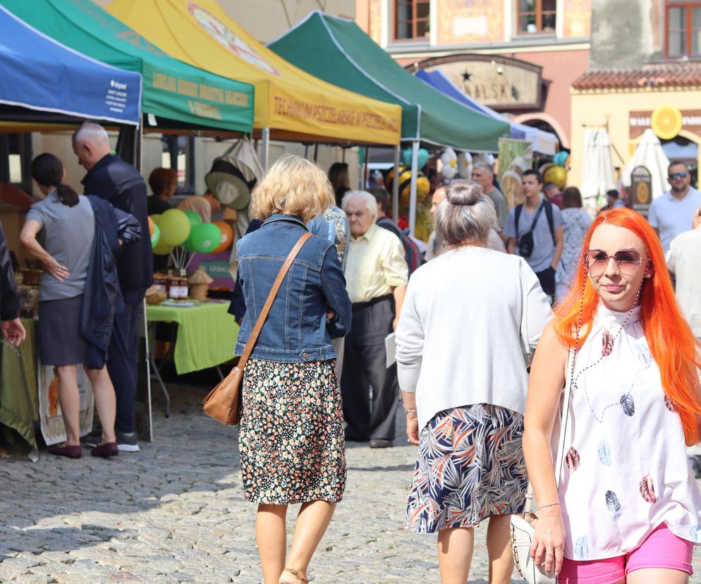 Miasto miodem płynące! Tak świętowali pszczelarze w Lublinie! Zobacz 