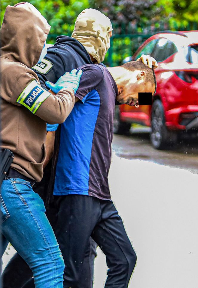 Rodzinny horror w dawnym tartaku