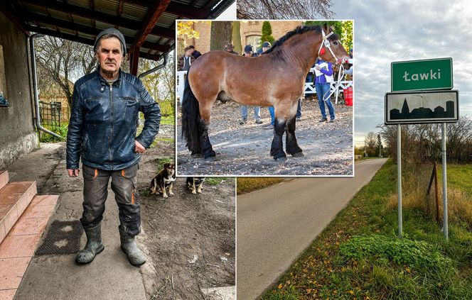 Takt zniknął ze stajni. Właściciel załamany
