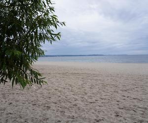 Jedyne takie miejsce na plażowej mapie Gdańska. Właściciele psów powinni o nim wiedzieć!