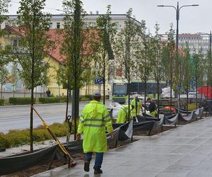 Olsztyńskie Śródmieście się zieleni