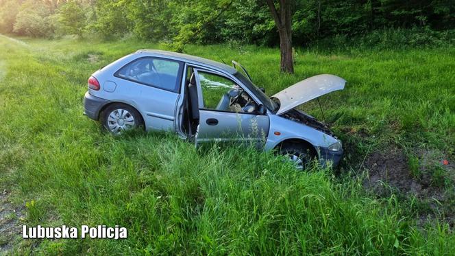 Lubuskie. 14-latek zepchnął radiowóz w czasie pościgu? Wziął mitsubishi brata i doprowadził do nieszczęścia [ZDJĘCIA]