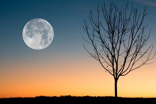 Magiczna pełnia księżyca w Wielkanoc 2022. Co oznacza? To może być przepowiednia!