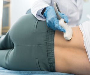 Nerki - budowa i funkcje