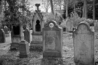 Lubelskie cmentarze online. Jak szybko odnaleźć grób na cmentarzu komunalnym na Majdanku?