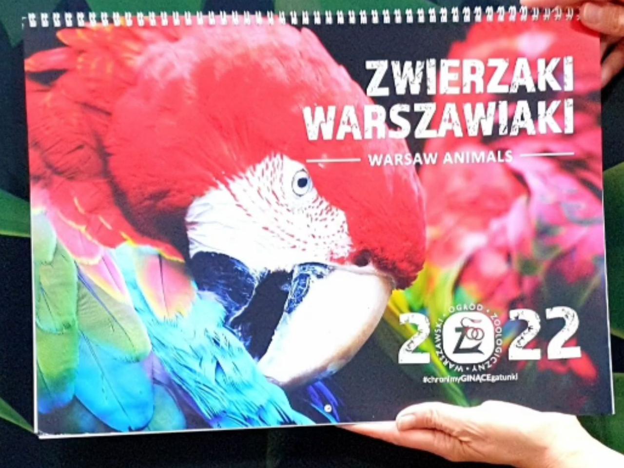 Zwierzaki Warszawiaki - kalendarz 2022. Gdzie kupić? Jak wygląda? 