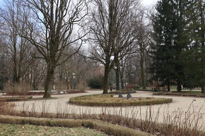 W Ogrodzie Saskim w Lublinie widać już wiosnę? Szukaliśmy jej oznak